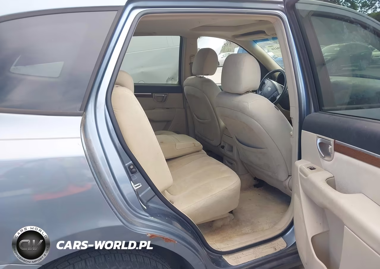 2009 Hyundai Santa Fe Gls VIN:5NMSG13D89H286279 - 8