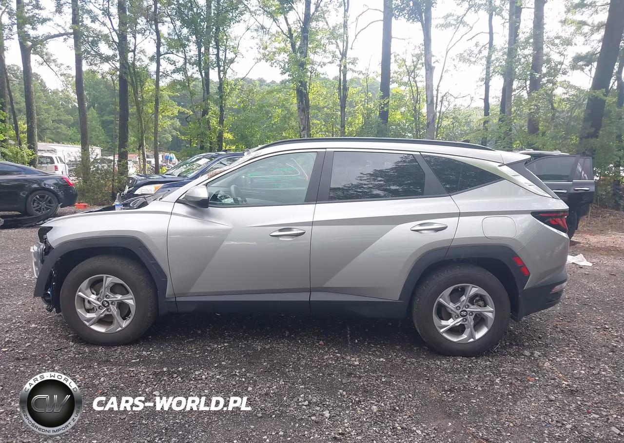 2024 Hyundai Tucson Sel VIN:5NMJBCDE5RH414281 - 14