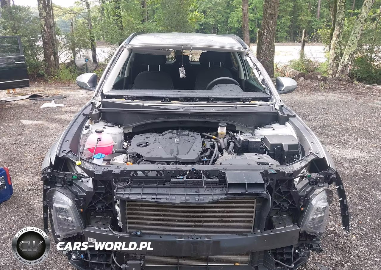 2024 Hyundai Tucson Sel VIN:5NMJBCDE5RH414281 - 6
