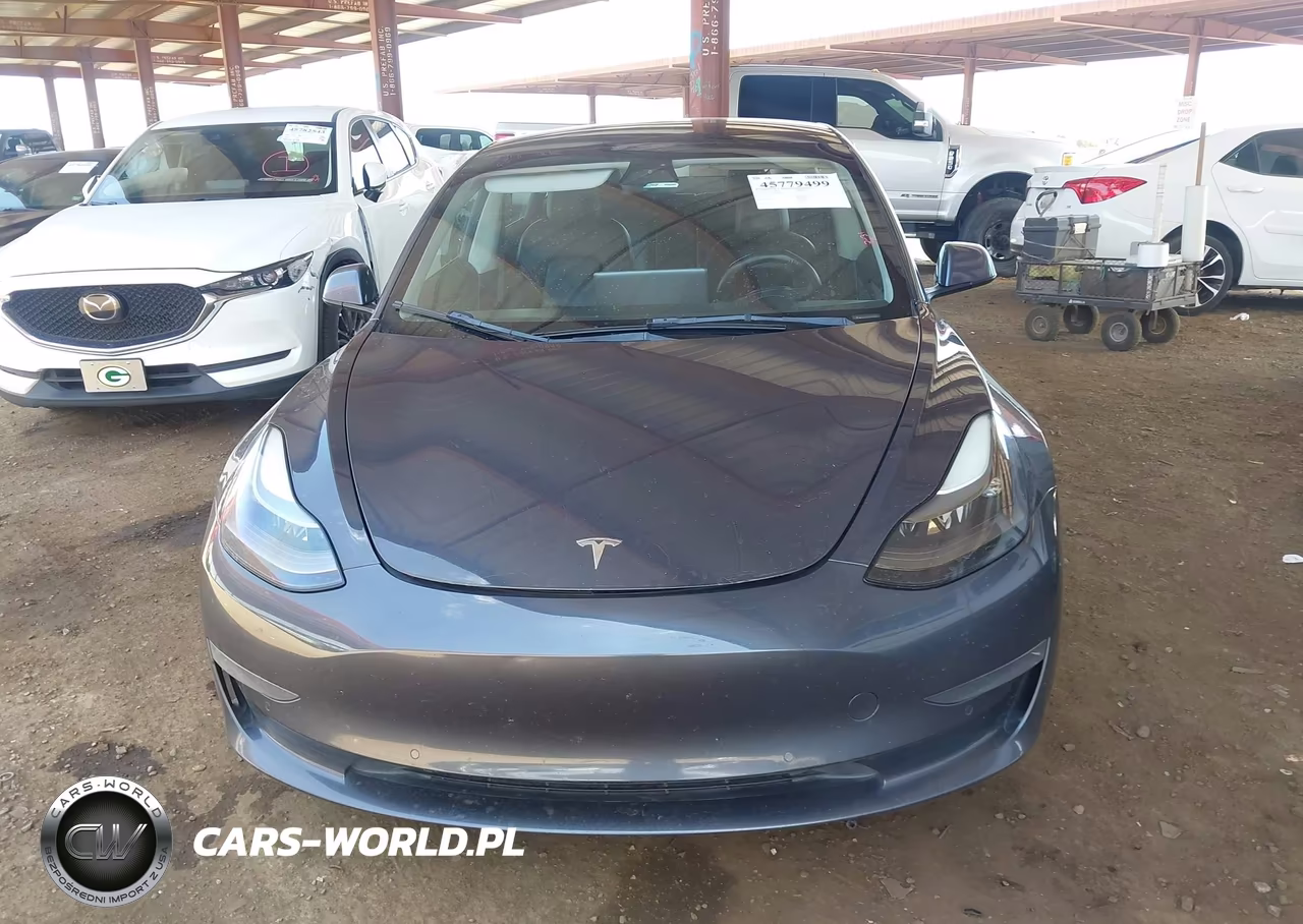 2022 Tesla Model 3 Rear-Wheel Drive VIN:5YJ3E1EA1NF189384 - 11