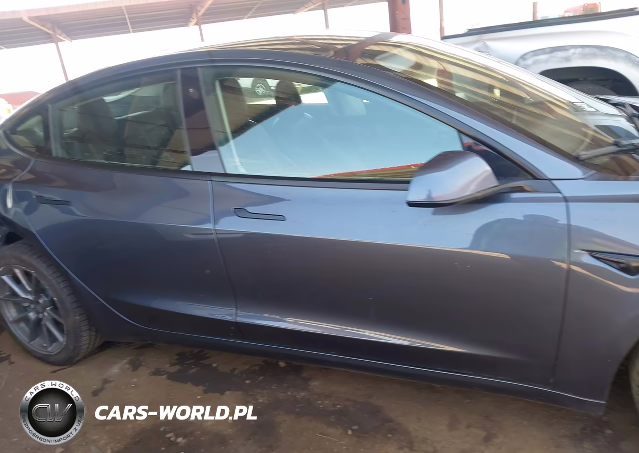 2022 Tesla Model 3 Rear-Wheel Drive VIN:5YJ3E1EA1NF189384 - 12