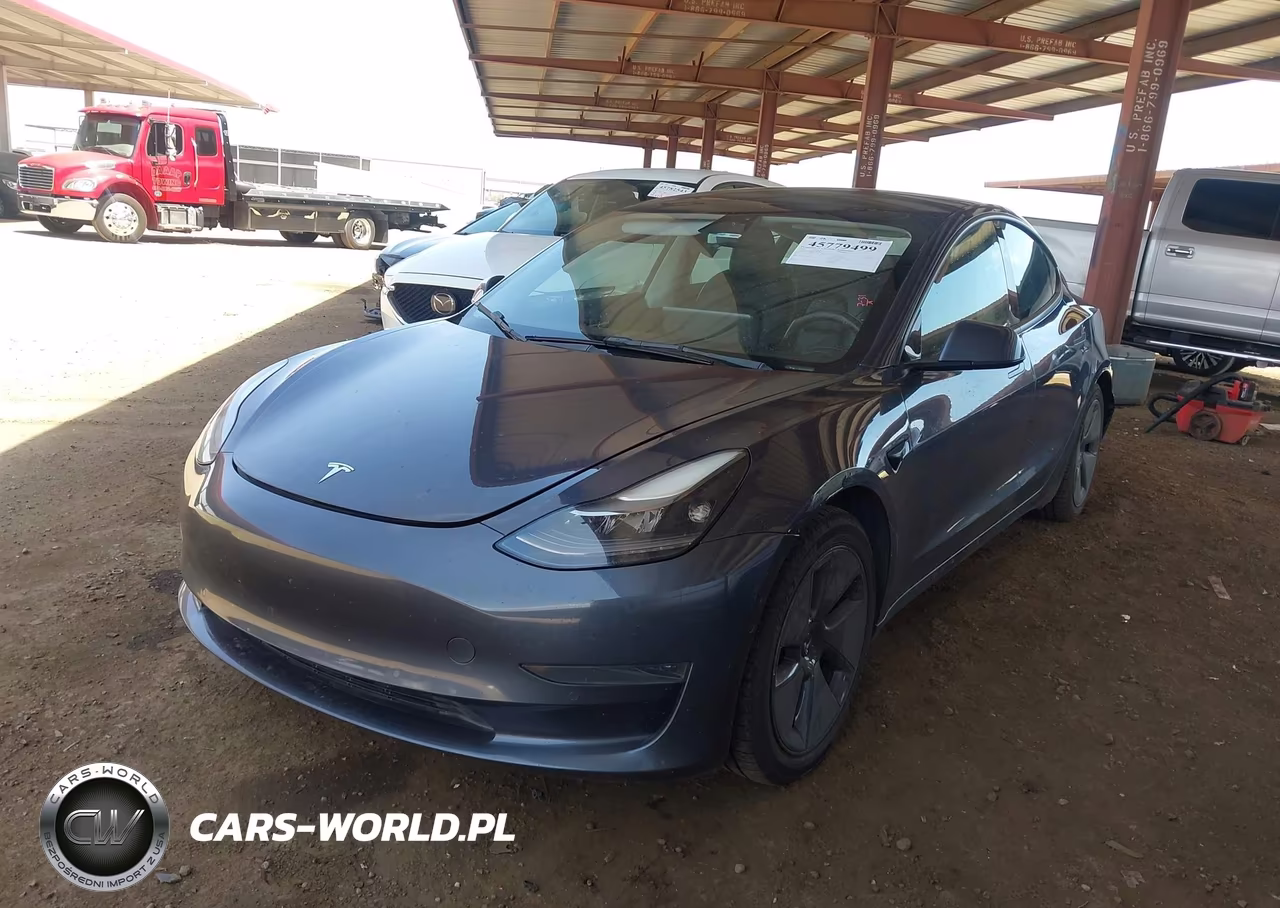 2022 Tesla Model 3 Rear-Wheel Drive VIN:5YJ3E1EA1NF189384 - 2