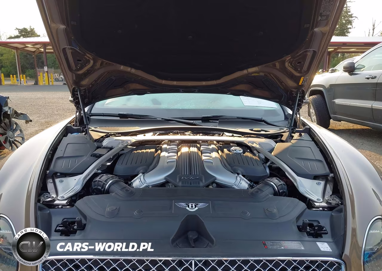 2021 Bentley Continental Gt W12 VIN:SCBCB2ZG8MC086250 - 10