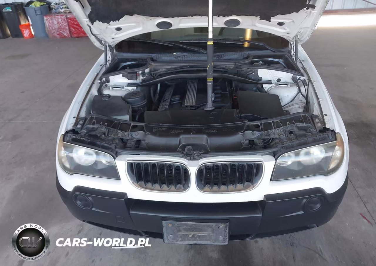 2004 BMW X3 2.5I VIN:WBXPA73464WB26634 - 10