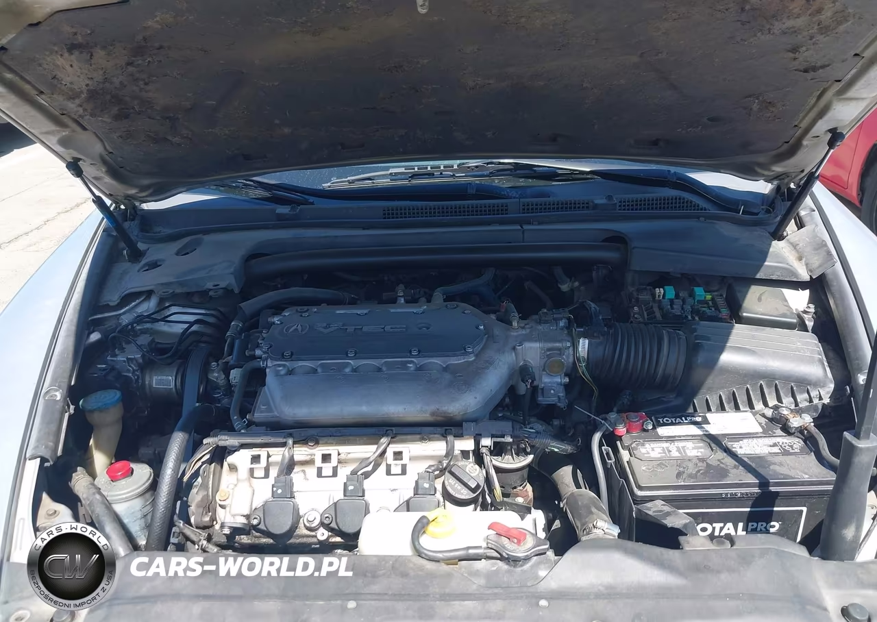2005 Acura Tl VIN:19UUA66285A049489 - 10