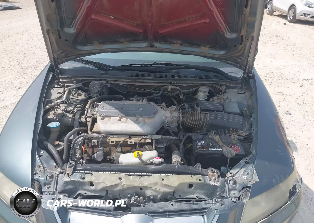 2004 Acura Tl VIN:19UUA66224A031326 - 10