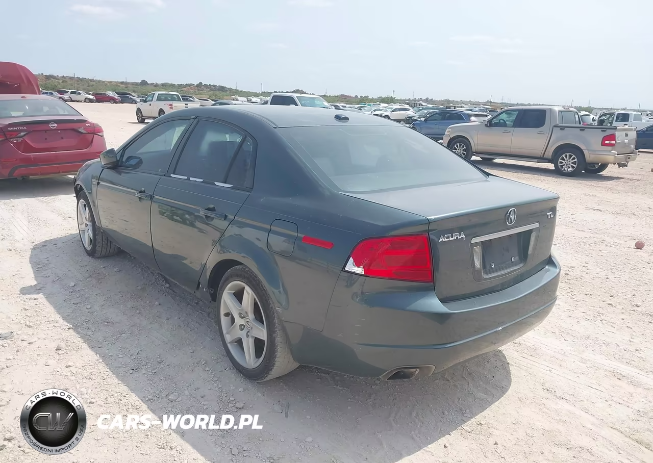 2004 Acura Tl VIN:19UUA66224A031326 - 3