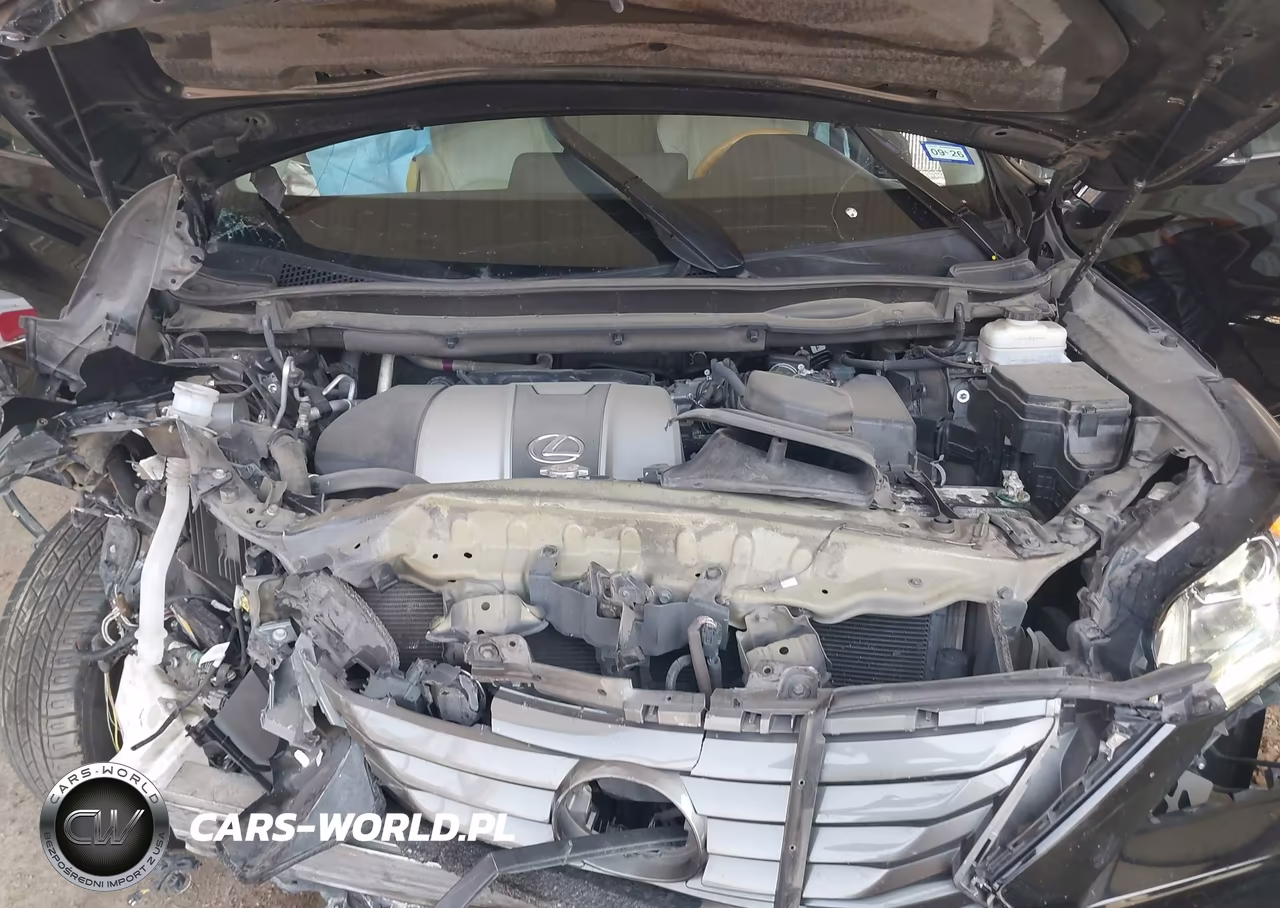 2019 Lexus Rx 350 VIN:2T2BZMCA2KC194965 - 10