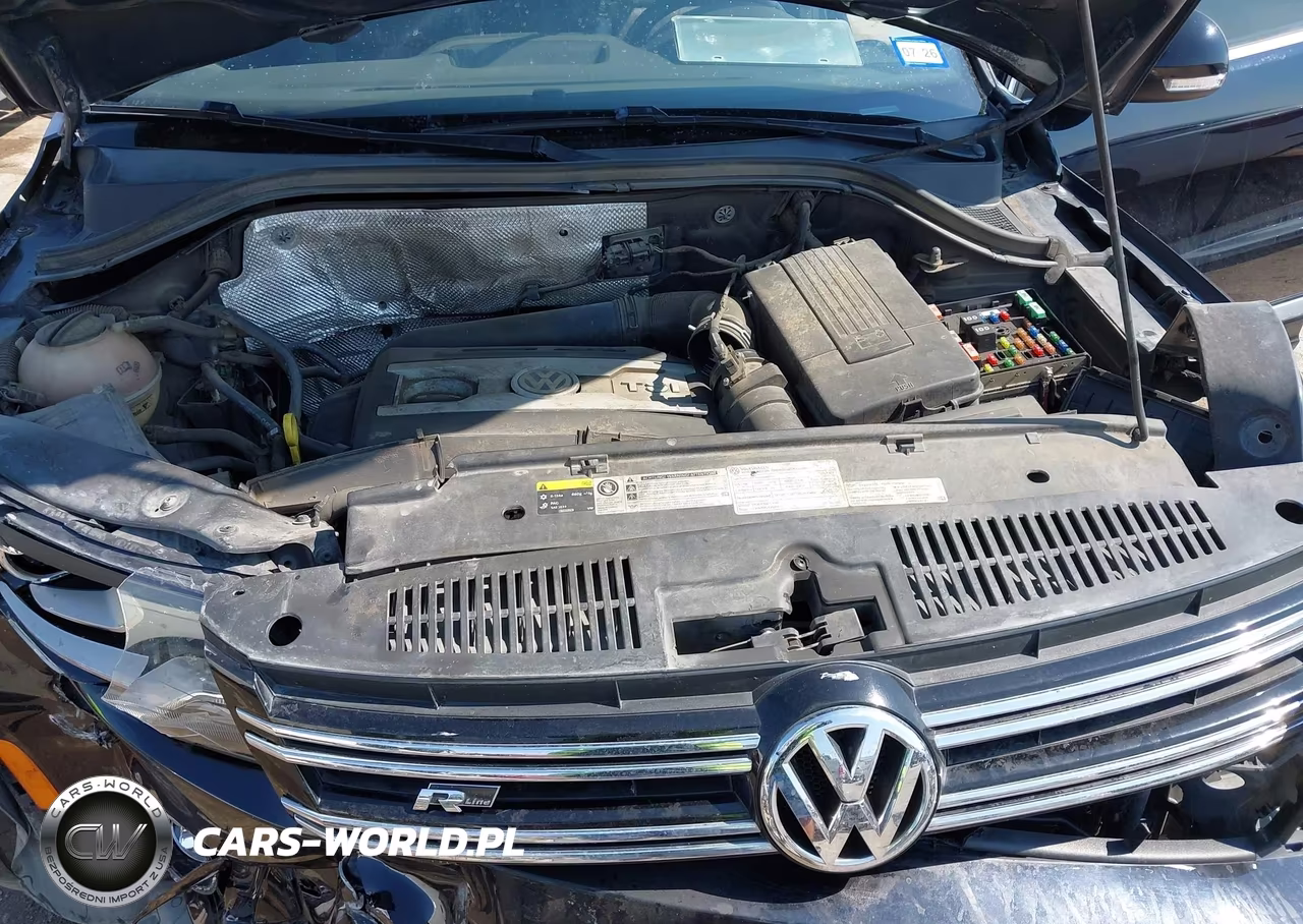 2014 Volkswagen Tiguan R-Line VIN:WVGAV3AX4EW054551 - 10