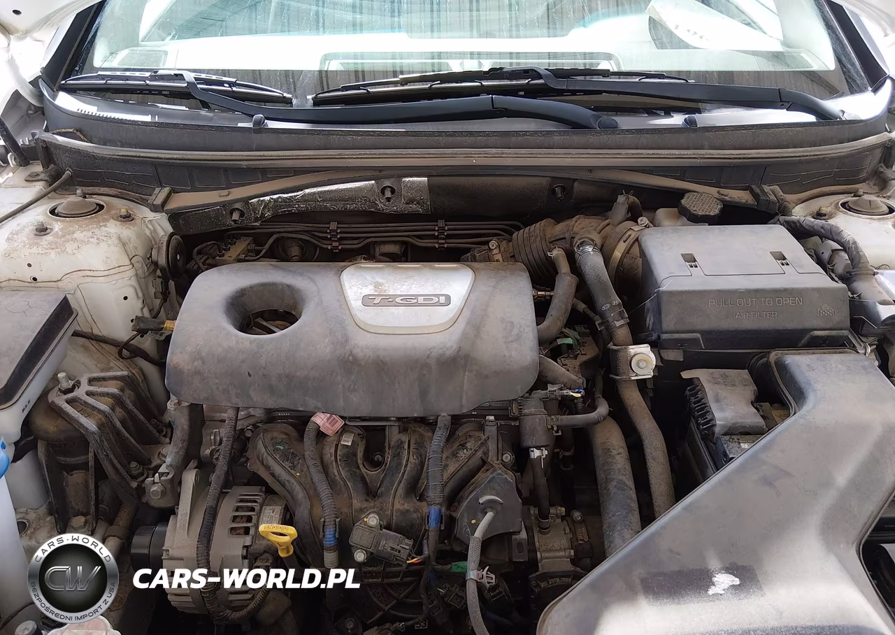 2019 Hyundai Sonata Eco VIN:5NPE24AA8KH802297 - 10