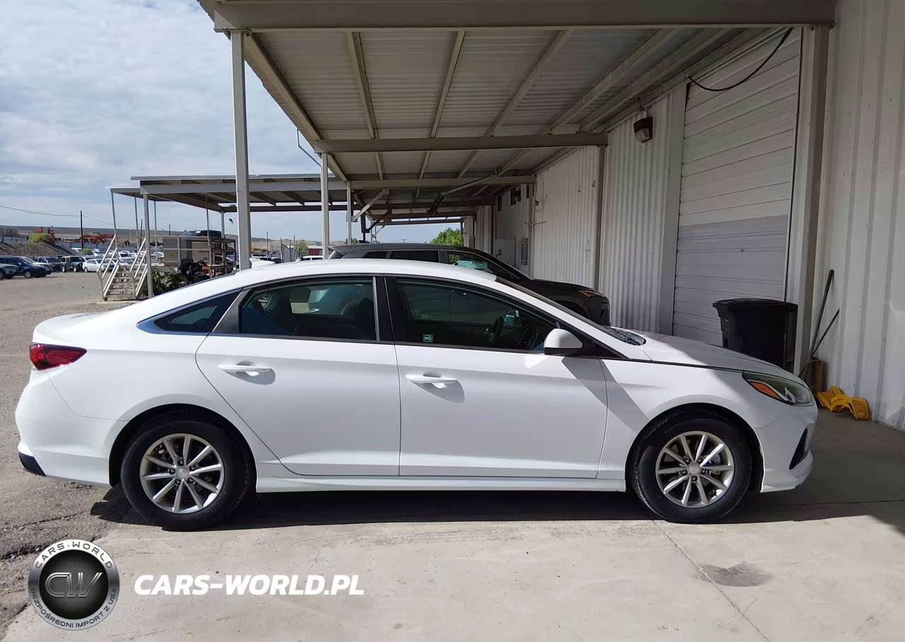 2019 Hyundai Sonata Eco VIN:5NPE24AA8KH802297 - 13