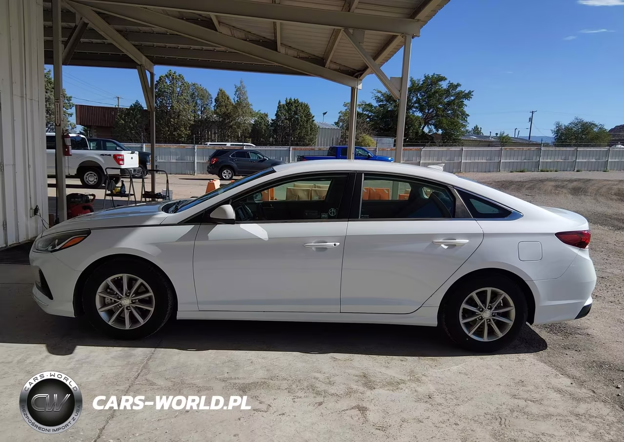 2019 Hyundai Sonata Eco VIN:5NPE24AA8KH802297 - 14