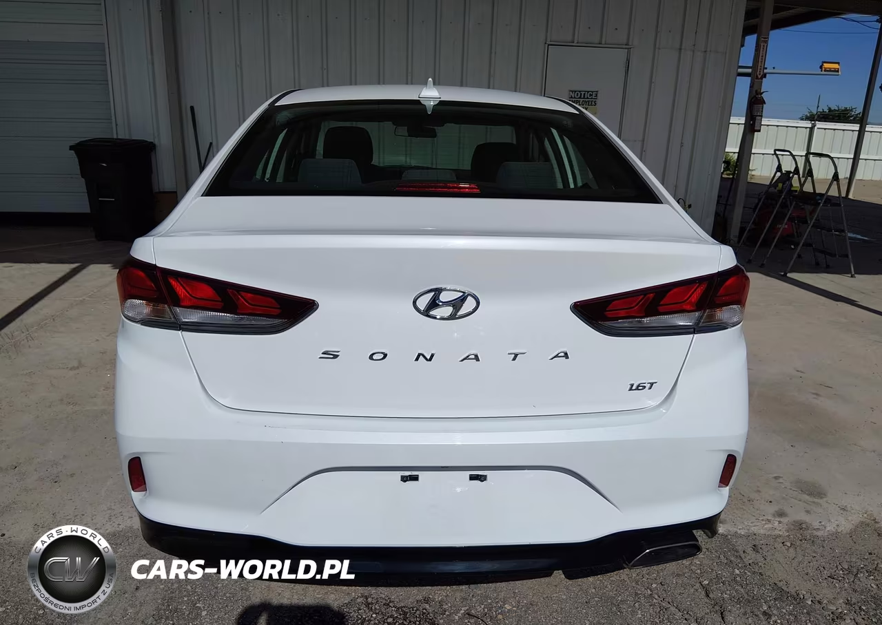 2019 Hyundai Sonata Eco VIN:5NPE24AA8KH802297 - 16