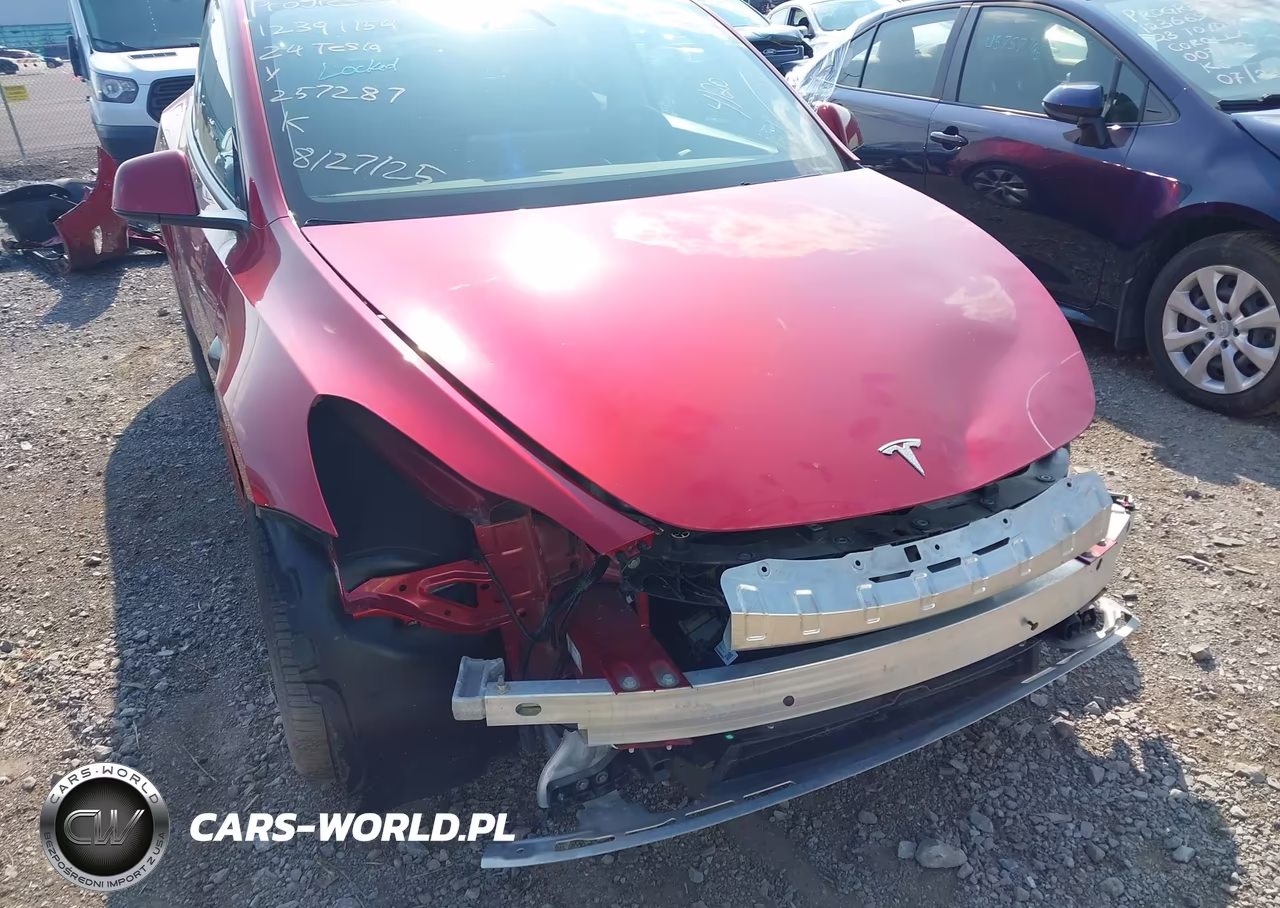 2024 Tesla Model Y Long Range Dual Motor All-Wheel Drive VIN:7SAYGDEE1RA257287 - 20