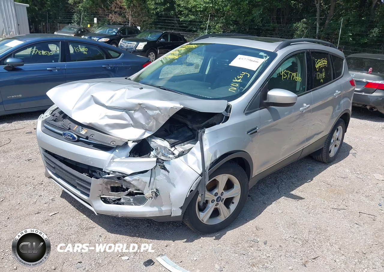 2014 Ford Escape Se VIN:1FMCU0GXXEUE56538 - 2