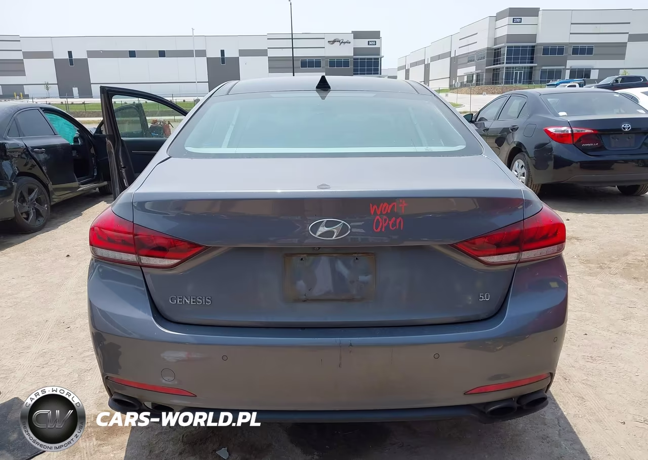 2015 Hyundai Genesis 5.0 VIN:KMHGN4JF4FU063920 - 16