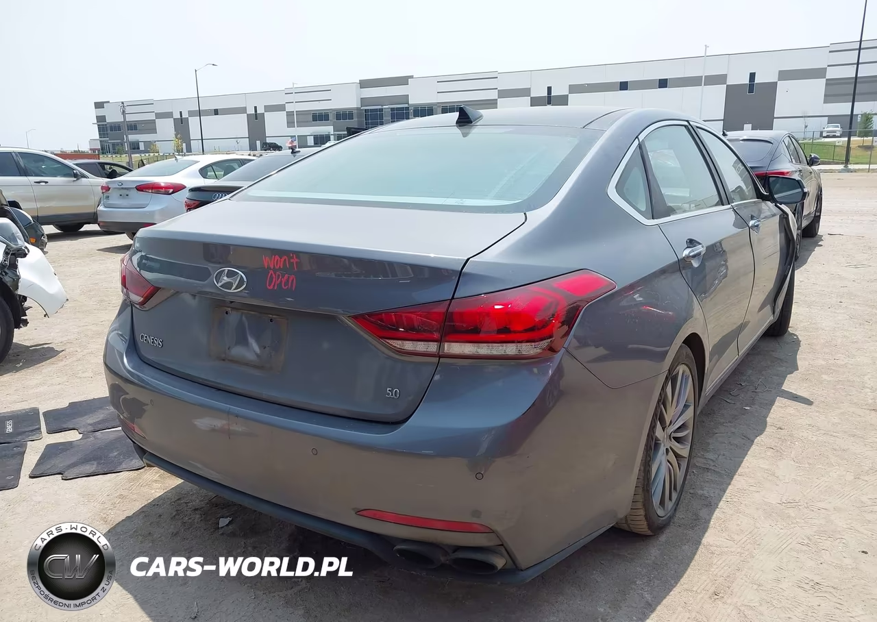 2015 Hyundai Genesis 5.0 VIN:KMHGN4JF4FU063920 - 4