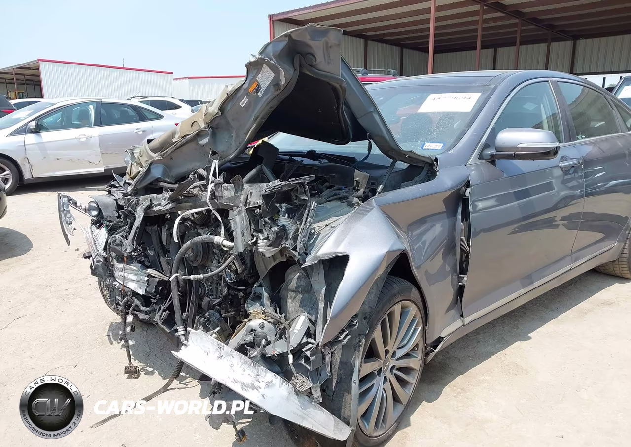 2015 Hyundai Genesis 5.0 VIN:KMHGN4JF4FU063920 - 6