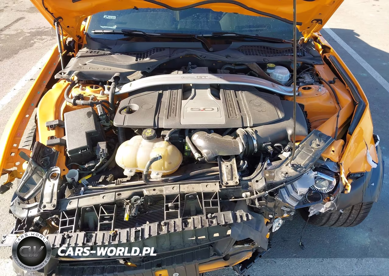 2019 Ford Mustang Gt Premium VIN:1FA6P8CF8K5115459 - 10