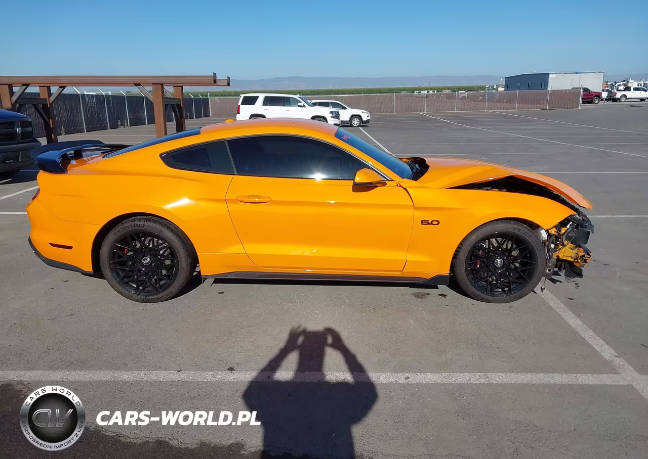 2019 Ford Mustang Gt Premium VIN:1FA6P8CF8K5115459 - 14