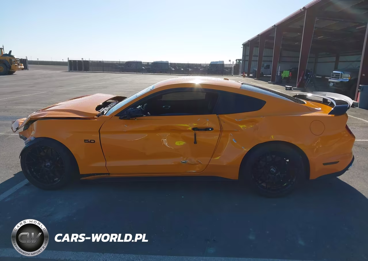 2019 Ford Mustang Gt Premium VIN:1FA6P8CF8K5115459 - 15