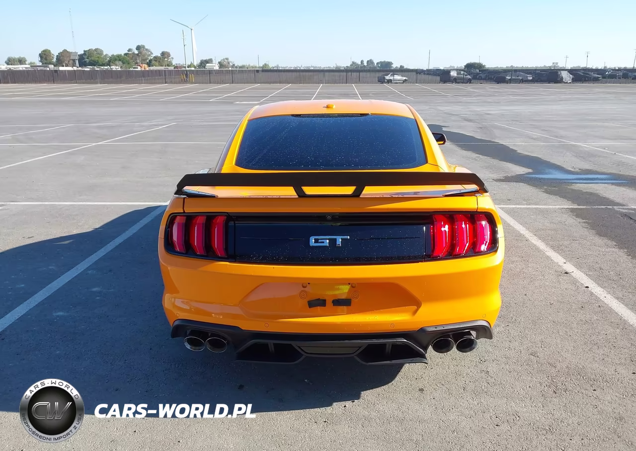 2019 Ford Mustang Gt Premium VIN:1FA6P8CF8K5115459 - 17