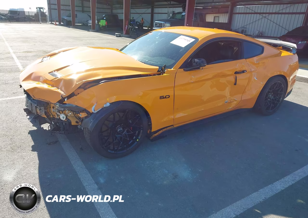 2019 Ford Mustang Gt Premium VIN:1FA6P8CF8K5115459 - 19
