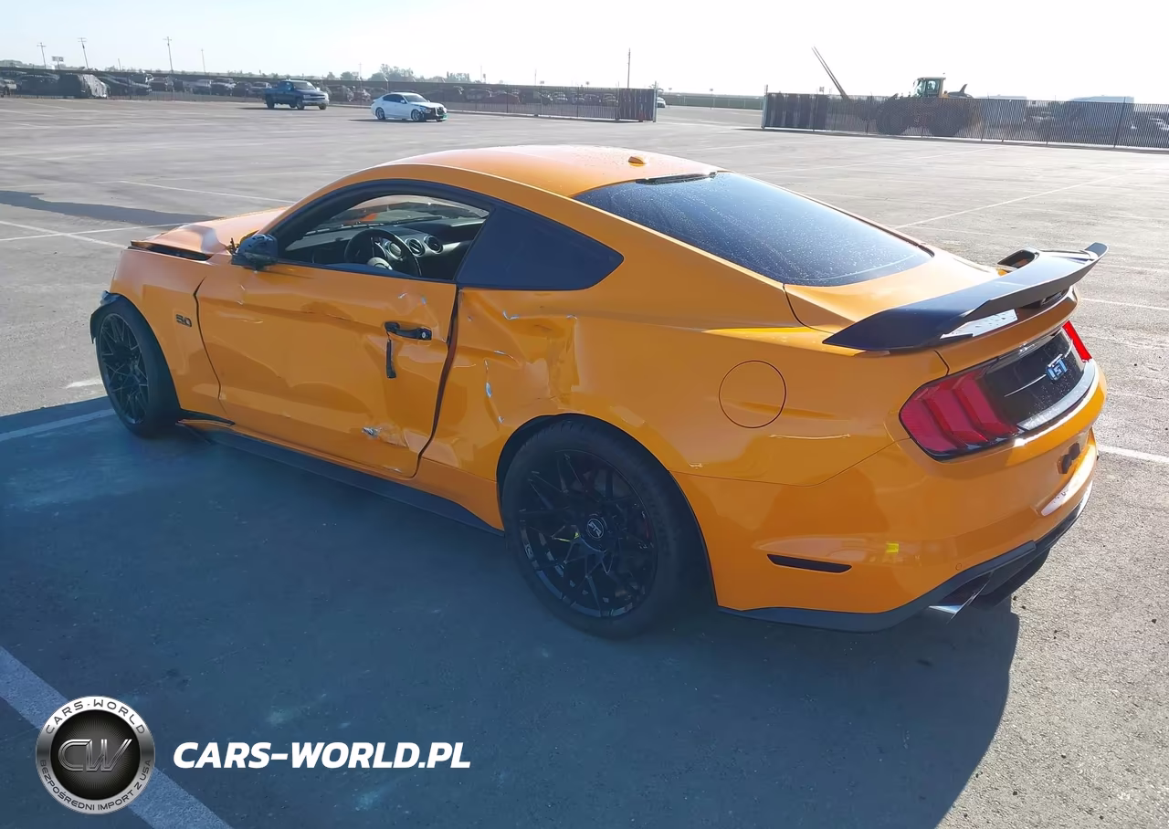 2019 Ford Mustang Gt Premium VIN:1FA6P8CF8K5115459 - 3