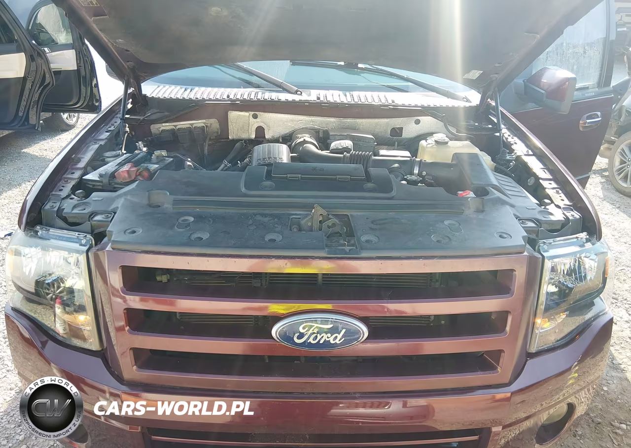 2010 Ford Expedition Limited VIN:1FMJU1K59AEB47232 - 10