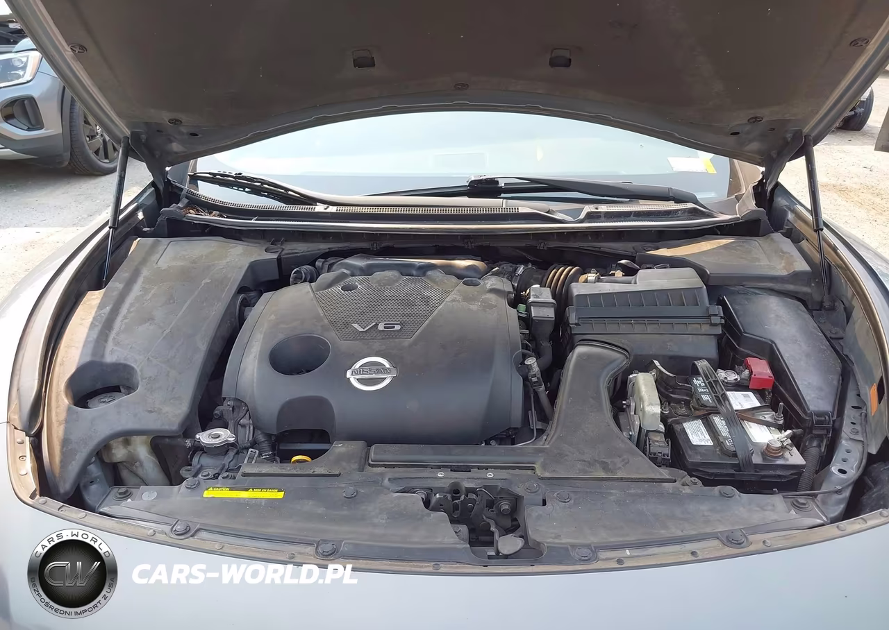 2009 Nissan Maxima 3.5 Sv VIN:1N4AA51E69C832064 - 10