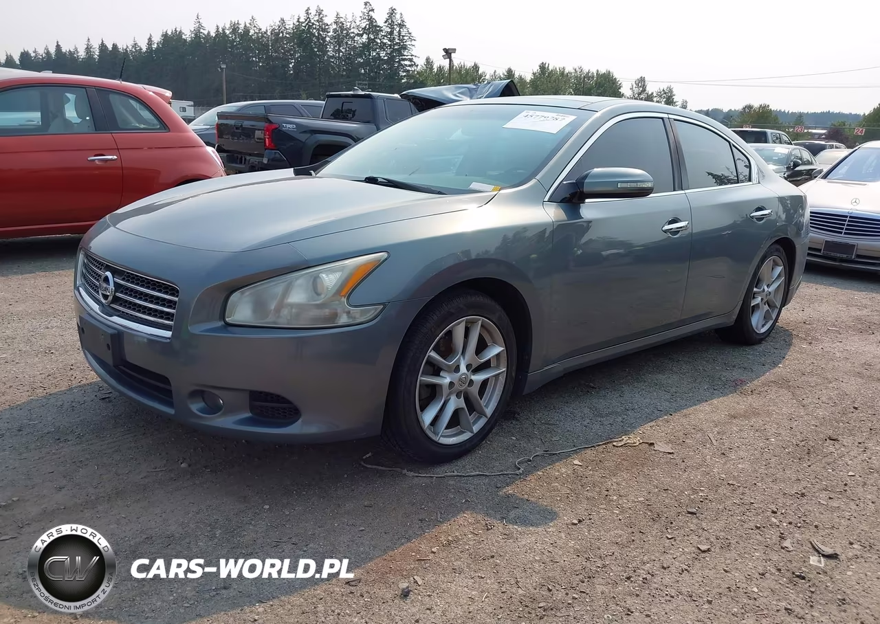 2009 Nissan Maxima 3.5 Sv VIN:1N4AA51E69C832064 - 2