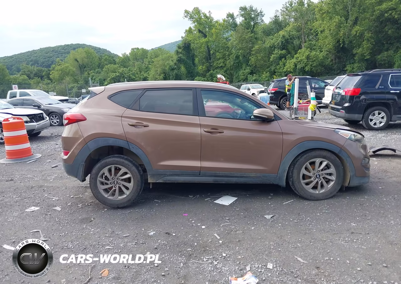 2016 Hyundai Tucson Eco VIN:KM8J33A25GU098602 - 13