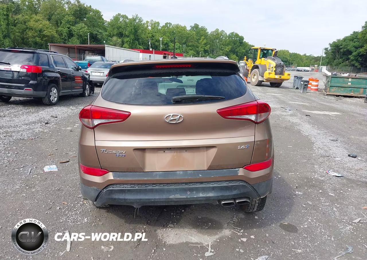2016 Hyundai Tucson Eco VIN:KM8J33A25GU098602 - 16