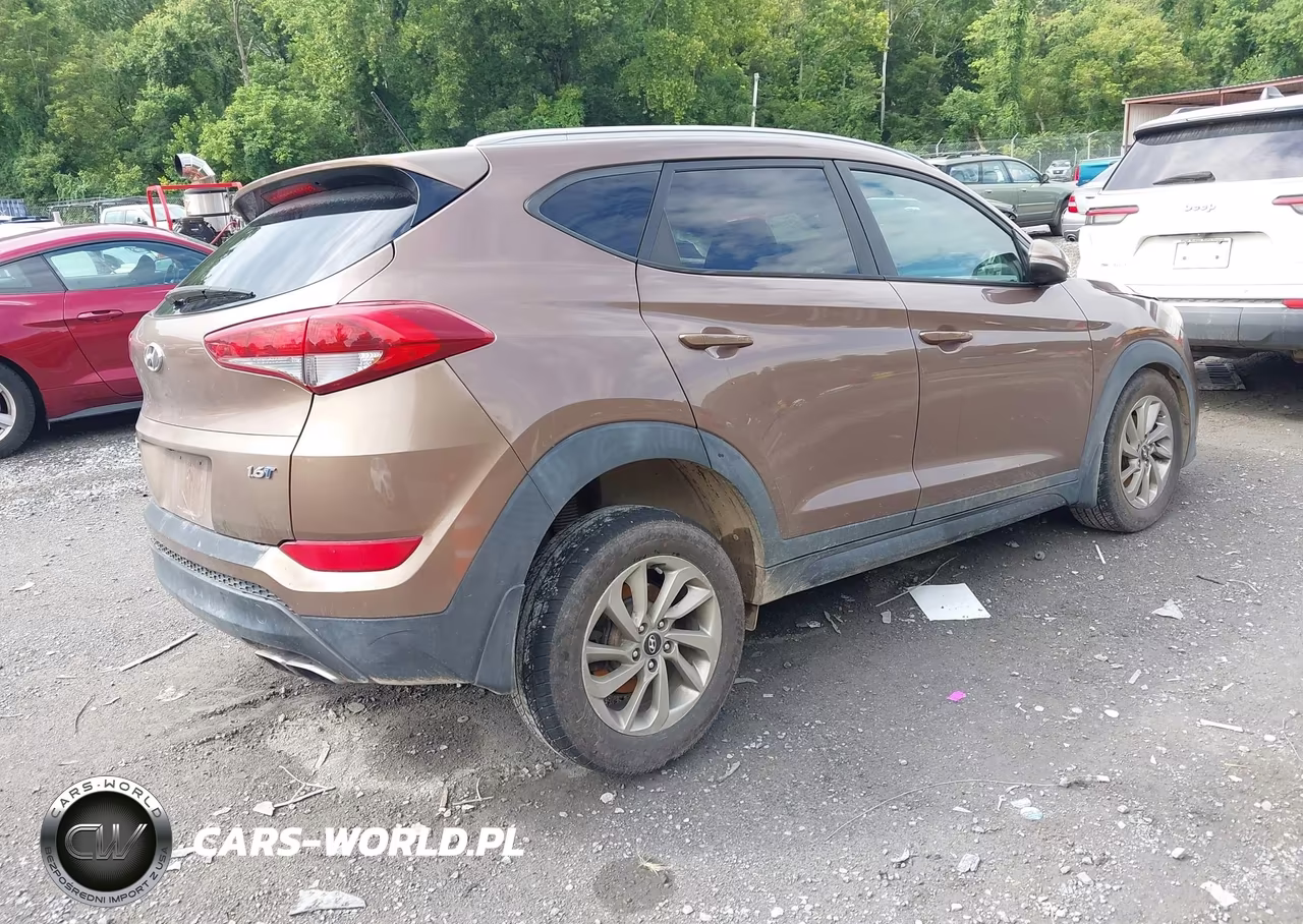 2016 Hyundai Tucson Eco VIN:KM8J33A25GU098602 - 4