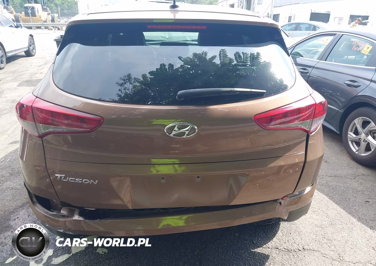 2017 Hyundai Tucson Se VIN:KM8J23A41HU441220 - 17