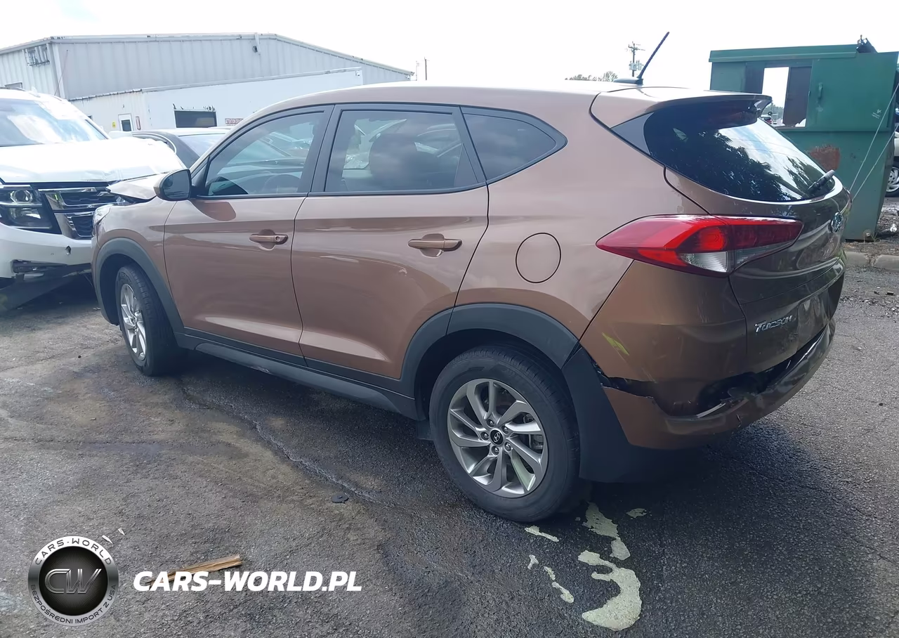 2017 Hyundai Tucson Se VIN:KM8J23A41HU441220 - 3