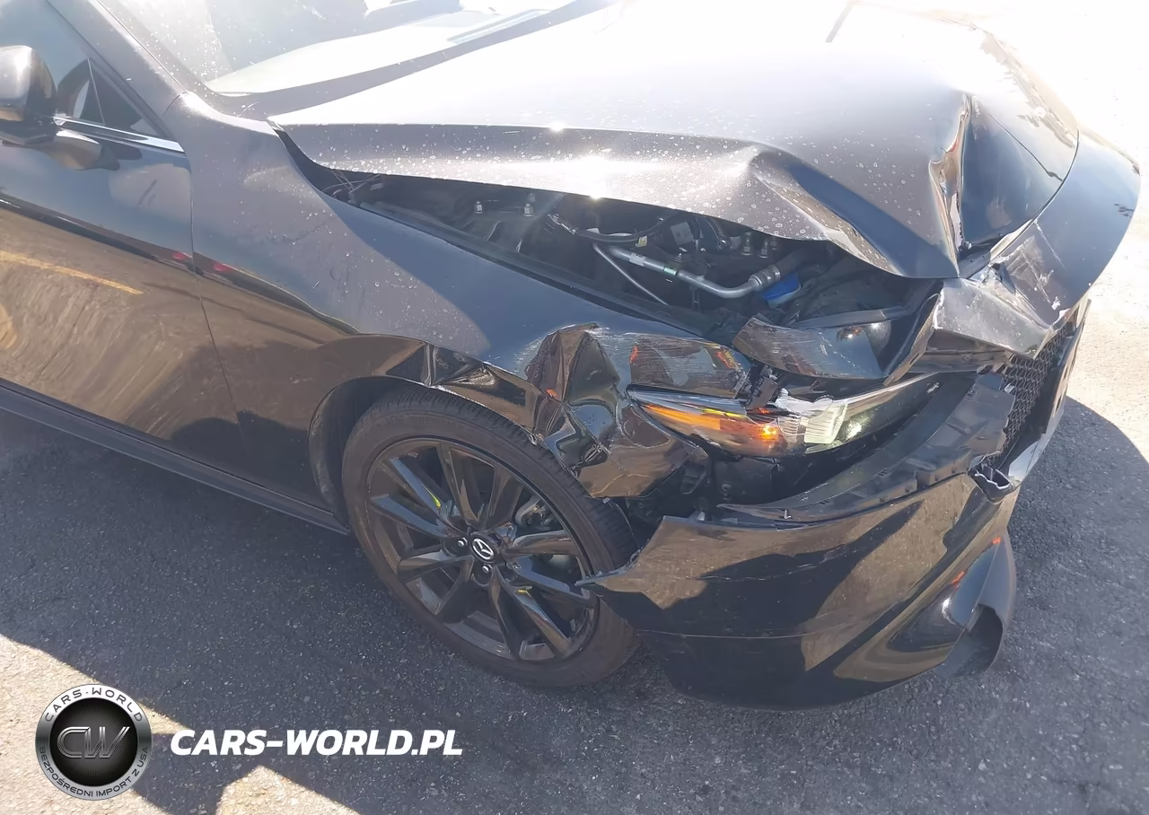 2021 Mazda Mazda3 Premium VIN:JM1BPAML3M1346719 - 17