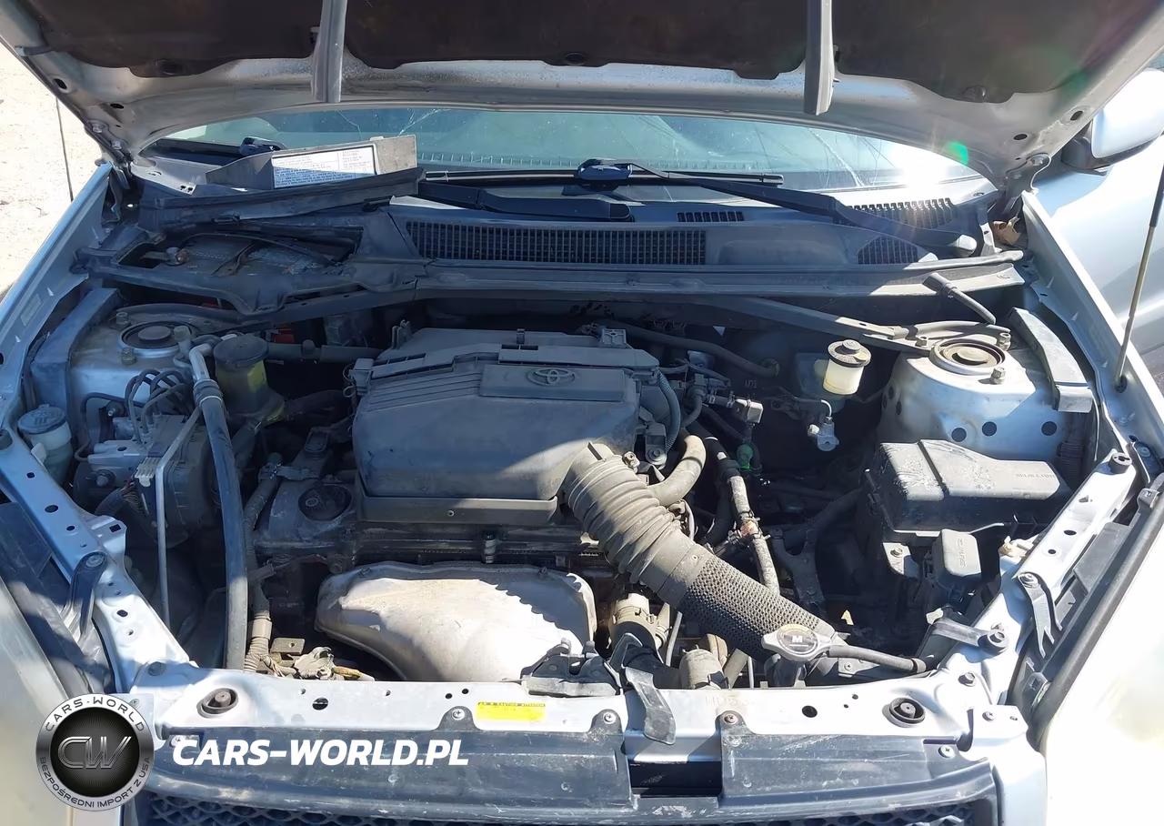 2004 Toyota Rav4 VIN:JTEGD20VX40006254 - 10