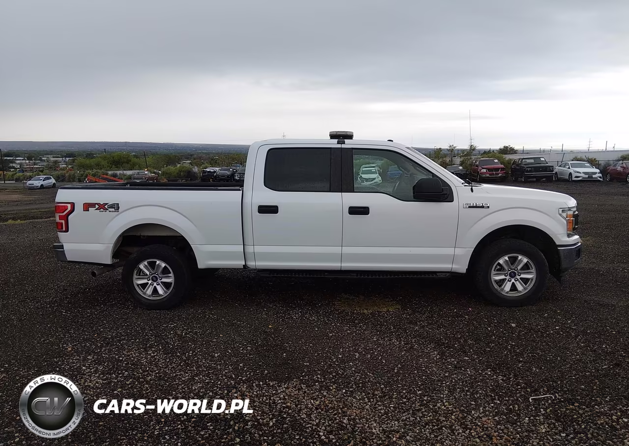 2019 Ford F-150 Xl VIN:1FTFW1E56KKE24504 - 17