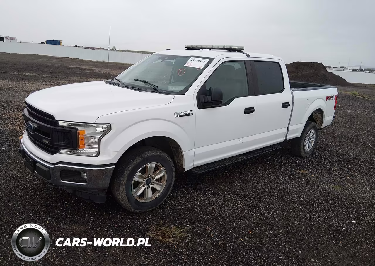 2019 Ford F-150 Xl VIN:1FTFW1E56KKE24504 - 2