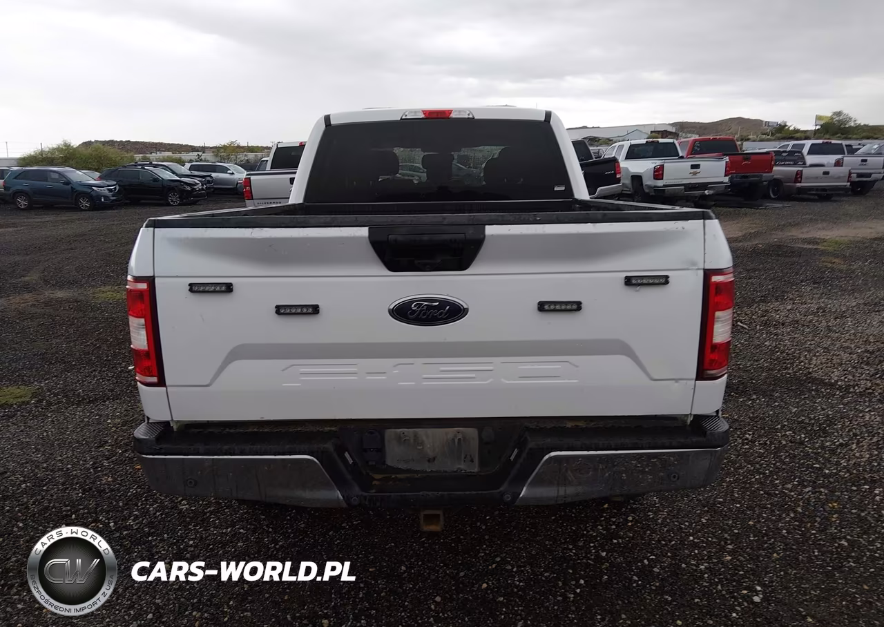 2019 Ford F-150 Xl VIN:1FTFW1E56KKE24504 - 20
