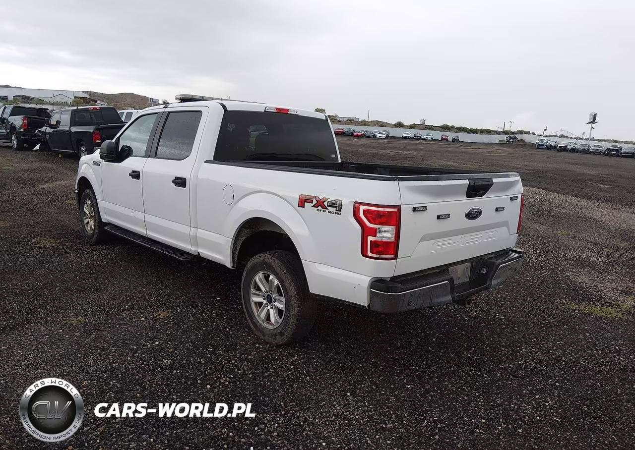 2019 Ford F-150 Xl VIN:1FTFW1E56KKE24504 - 3