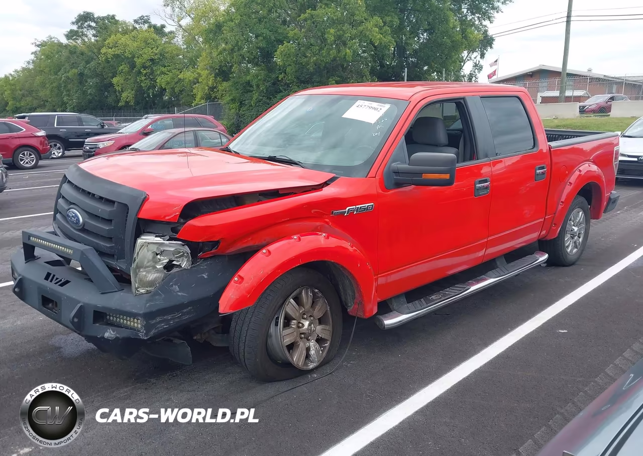 2011 Ford F-150 Xlt VIN:1FTFW1CF0BFA19825 - 2
