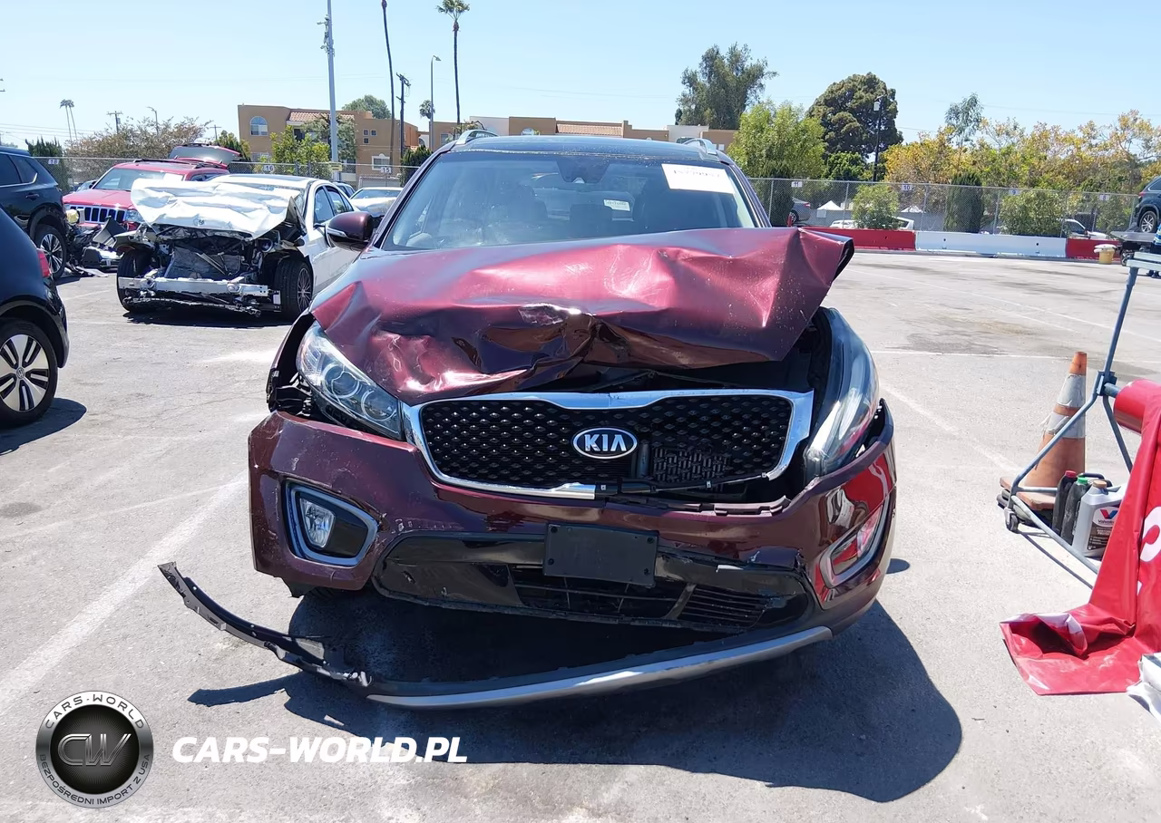 2017 Kia Sorento 2.0T Ex VIN:5XYPH4A13HG254264 - 12