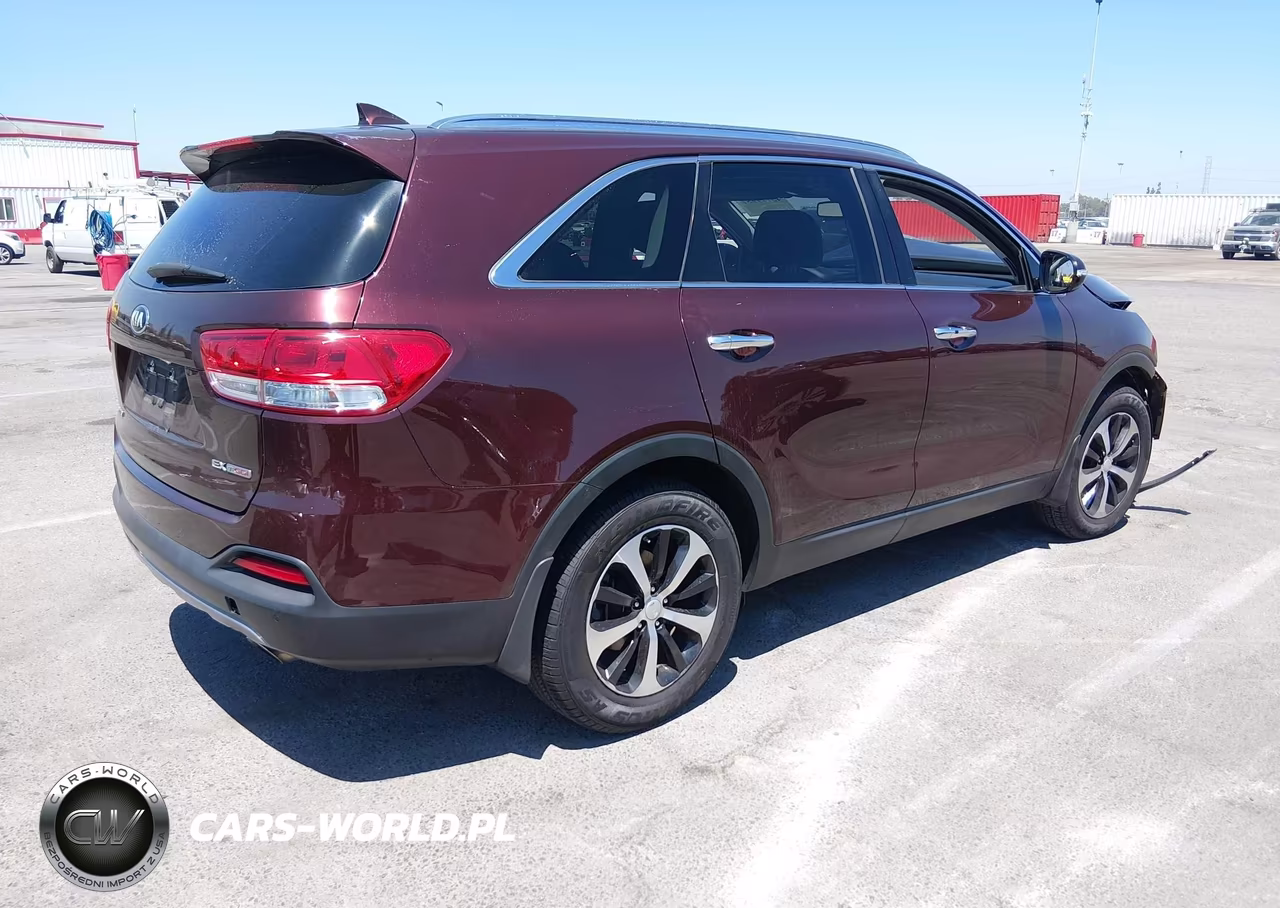 2017 Kia Sorento 2.0T Ex VIN:5XYPH4A13HG254264 - 4