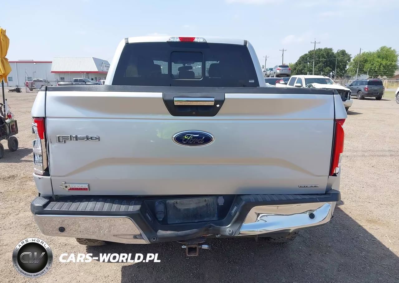 2016 Ford F-150 Xlt VIN:1FTEW1EF1GKD87180 - 17
