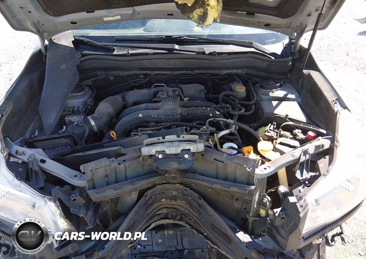2016 Subaru Forester 2.5I VIN:JF2SJABC2GH447963 - 10