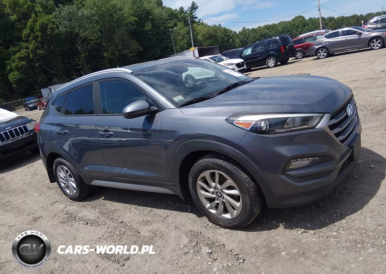 2017 Hyundai Tucson Se VIN:KM8J3CA43HU401413 - 13