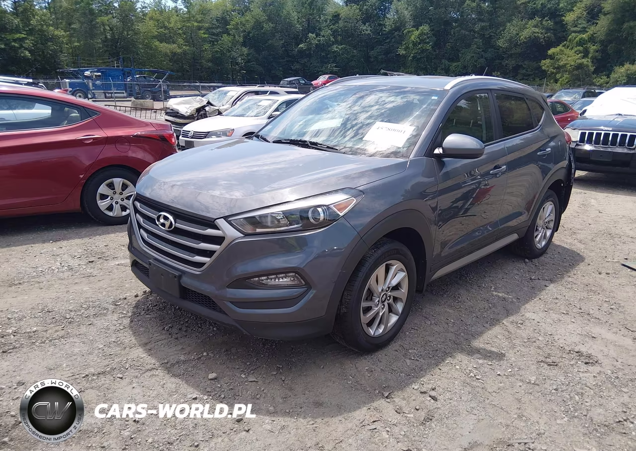 2017 Hyundai Tucson Se VIN:KM8J3CA43HU401413 - 2
