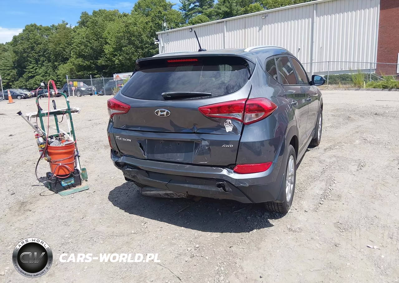 2017 Hyundai Tucson Se VIN:KM8J3CA43HU401413 - 4